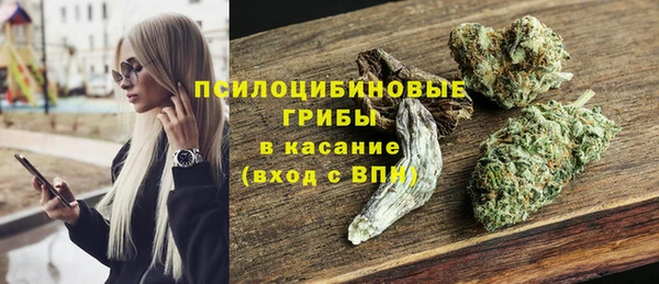 прущие грибы Алексеевка
