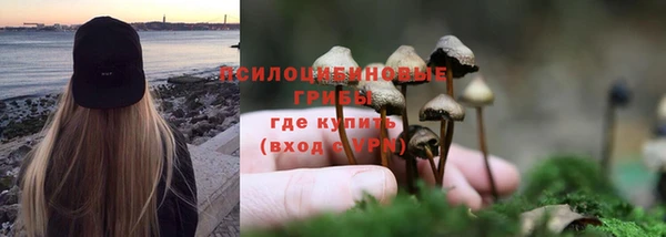 а пвп мука Абдулино