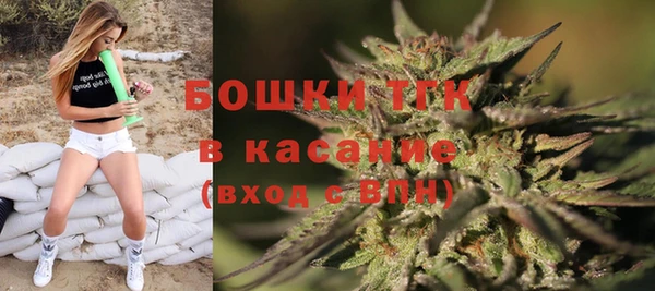 ешки Осинники
