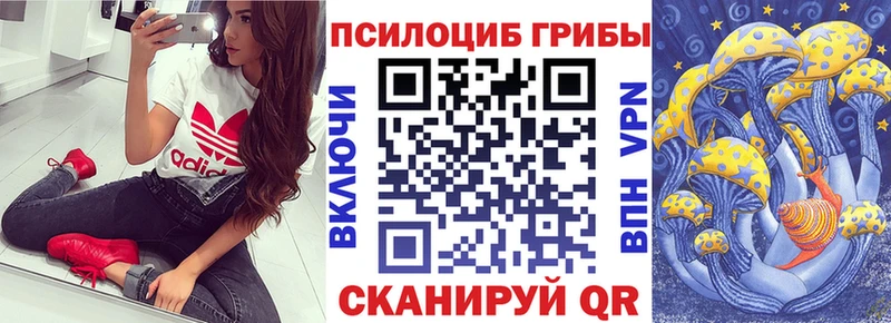 что такое наркотик  Стрежевой  Псилоцибиновые грибы ЛСД 